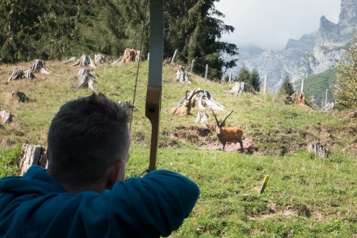3D Jagdbogen – Bild 3