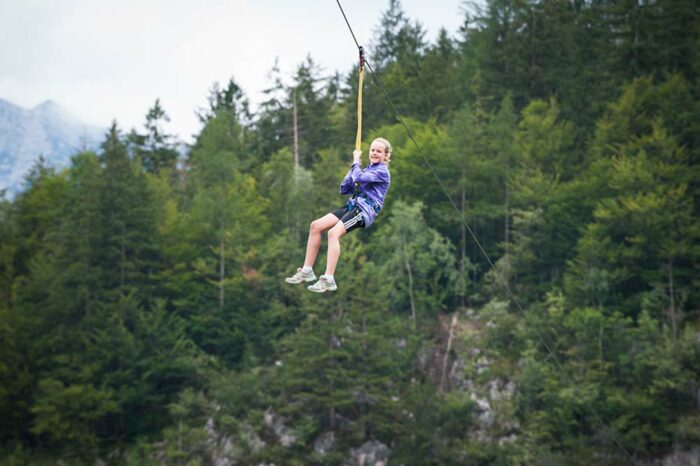 Europarutsche Flying Fox – Bild 2