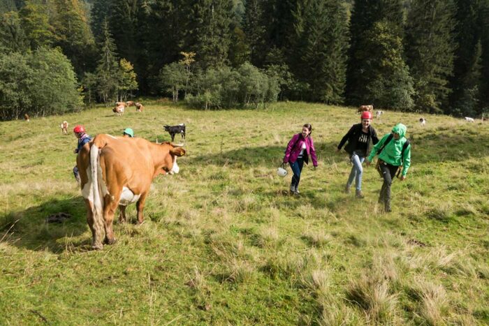 Outdoor Challenge Das Original – Bild 8