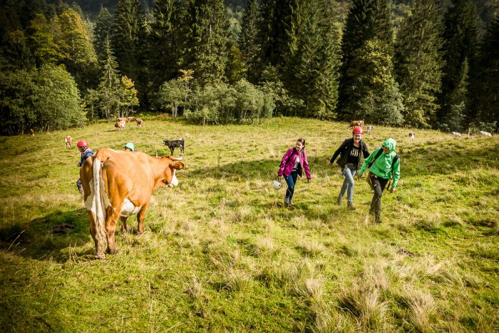 Abenteuer Trekking – Bild 6