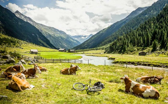 E-Bike DAY TRIP - Image 2